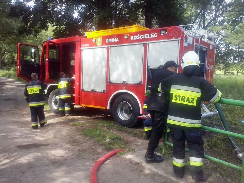 Pożar lasu w Kościelcu