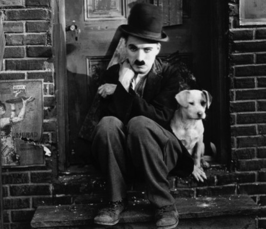 Pieskie życie wyreżyserował Charles Chaplin, występują:...