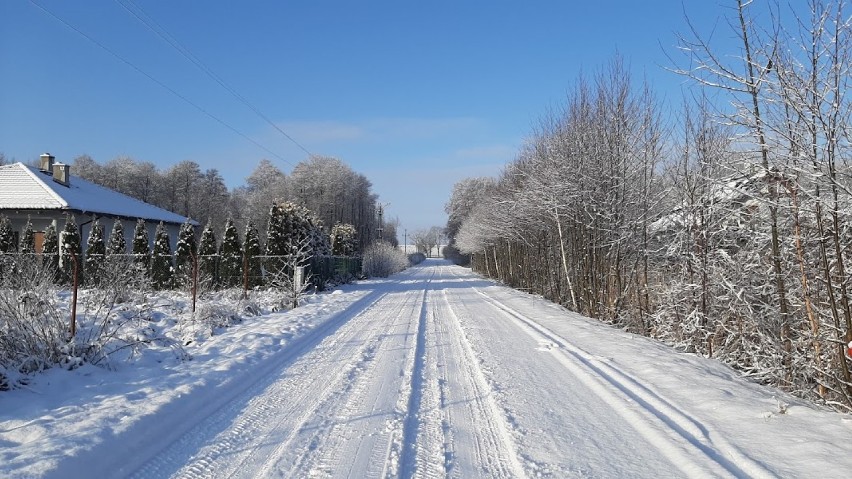Gmina Kiszkowo. Zima 2021 w obiektywie aparatu