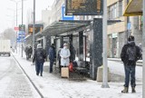 Atak zimy w Kielcach. Wielka śnieżyca, bardzo śliskie drogi i chodniki [ZDJĘCIA]