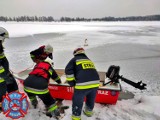 Nietypowa akcja strażaków z Podolsza. Ruszyli na pomoc przymarzniętemu łabędziowi [ZDJĘCIA]