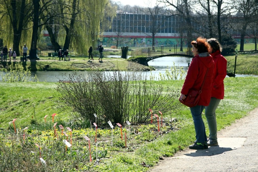 Botanik w Lublinie znowu otwarty. Wiele osób skorzystało z okazji do spaceru po Ogrodzie. Zobacz zdjęcia!