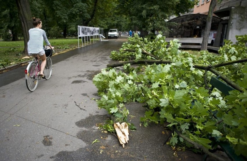 Burza w Krakowie. Straż pożarna usuwa skutki