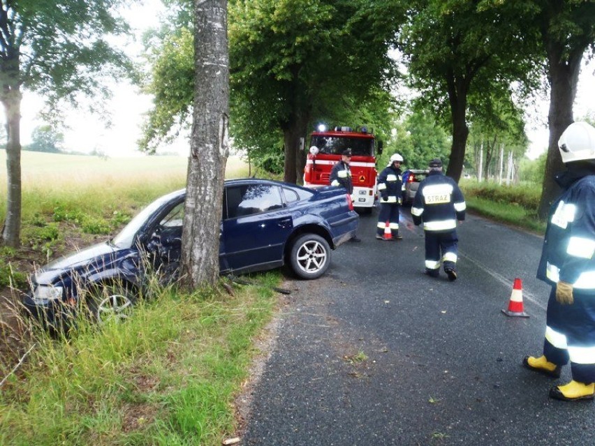 Braniewo. Volkswagen uderzył w drzewo [zdjęcia]