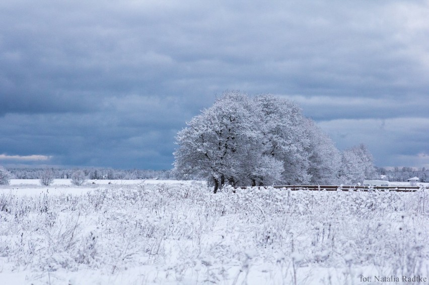Śnieżna zima w gminie Krokowa