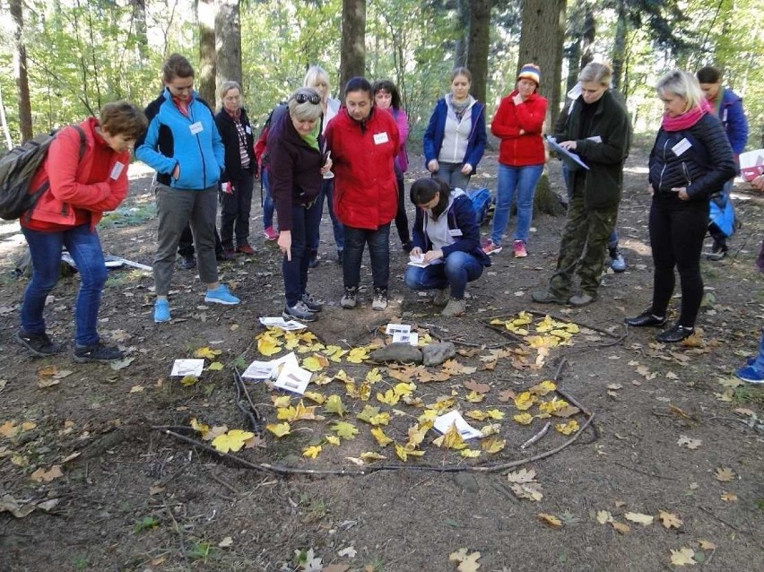 Bielsko-Biała: O lesie w lesie, czyli warsztaty dla nauczycieli [ZDJĘCIA]
