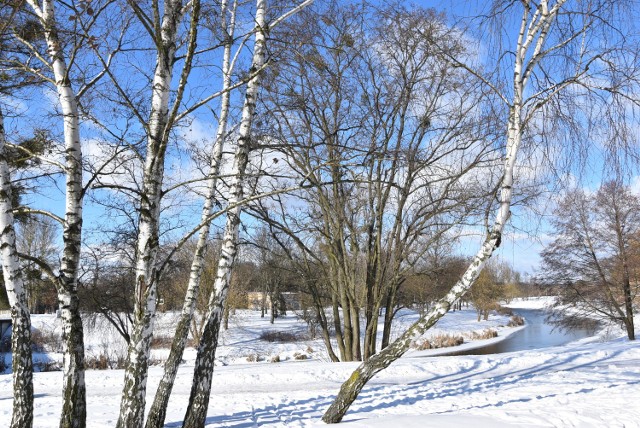 Piła. Wyspa zimą