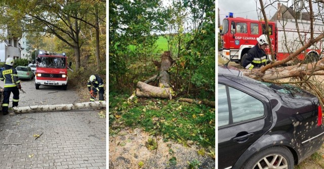 Skutki wichury na Pomorzu w czwartek, 21.10.2021 r. Powalone drzewa, zerwane dachy! Strażacy mieli pełne ręce roboty. Zobacz zdjęcia >>>