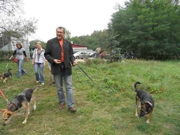 Szkoła dla psów Wesoła Łapka organizuje szkolenia dla psów w gliwickim schronisku [WIDEO + ZDJĘCIA]