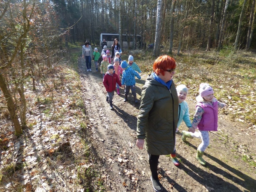 Przedszkolaki z Przechlewa sadzą las