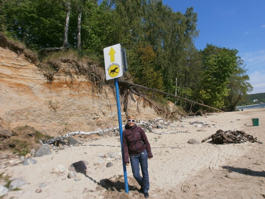 Gdynia: Plaża dla psów już oznakowana. 100 metrów przy Kolibkach, kilometr od strzeżonego kąpieliska