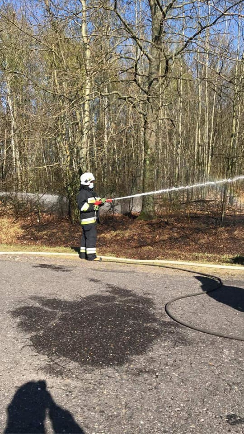 Pięć jednostek straży wyjechało do pożaru lasu we Wrońsku