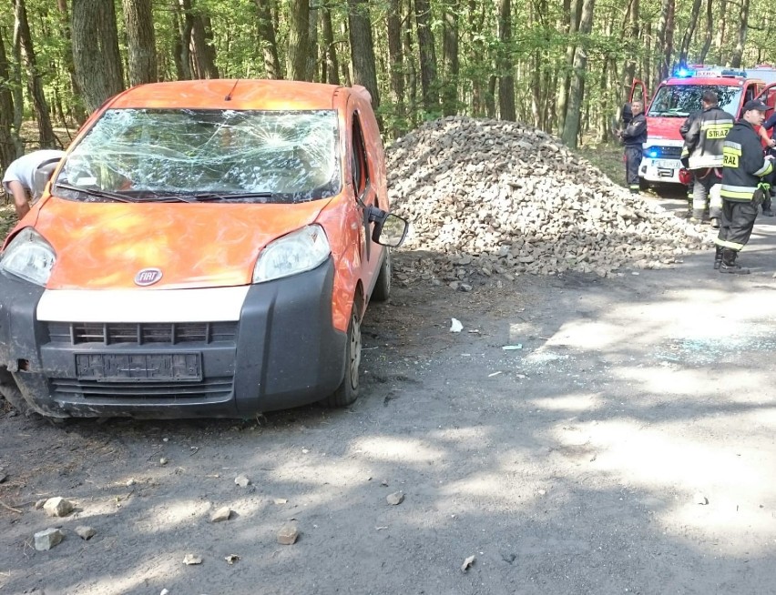 Wypadek w Polkowie koło Zduńskiej Woli. Auto dachowało przez jelenia [zdjęcia]          