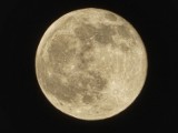 Wielki księżyc nad Międzyrzeczem. "Aż spać nie idzie!" - piszą Czytelnicy