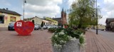 Rynek w Gorzkowicach w kwiatach. Urząd udekorował centrum miejscowości na wiosnę