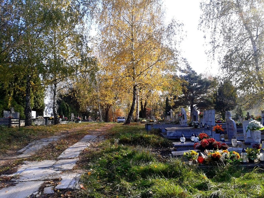 Jesienny Toruń 2014 (4)