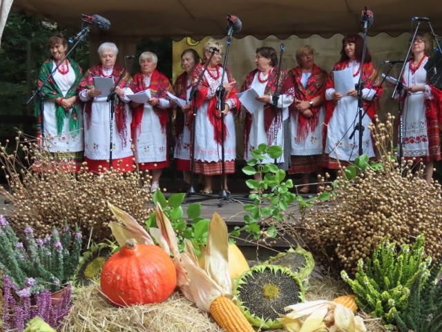 W niedzielę, 24 września w Muzeum Etnograficznym w Zielonej Górze-Ochli odbył się tradycyjny festyn plenerowy „U progu jesieni”.