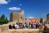 Konsultacje społeczne w sprawie błoni nadpilicznych na zamku Kazimierza Wielkiego w Inowłodzu. 28 maja, godz. 17 (FOTO)