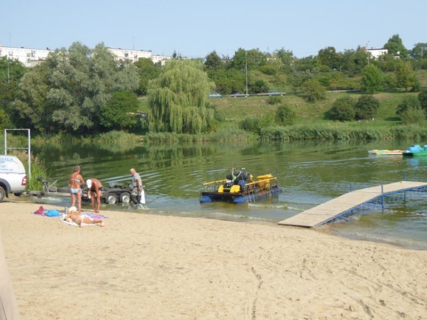 Gniezno: jezioro Winiary będzie oczyszczone z sinic