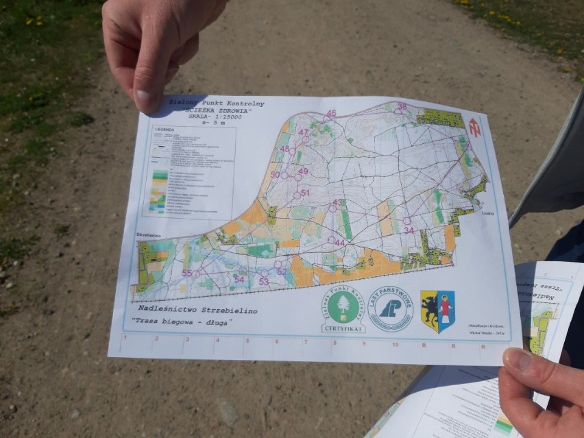 Znajdź "Zielony Punkt Kontrolny" na Ścieżce Zdrowia w Luzinie. Zabawa terenowa  |ZDJĘCIA