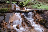 Beskid Kaszubski - kolejna wyprawa z przewodnikiem Piotrem Kowalewskim do Staniszewskich Zdrojów