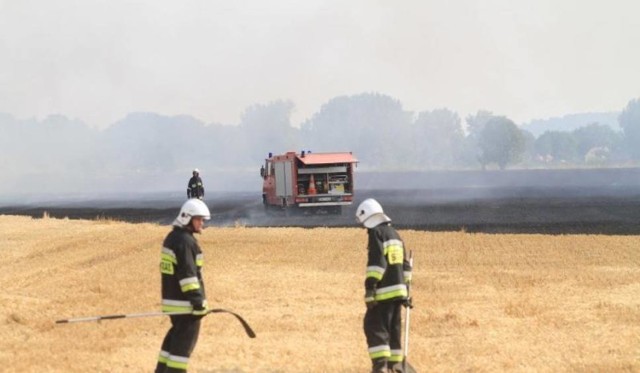 Strażacy  codziennie walczą z pożarami lasów i nieużytków