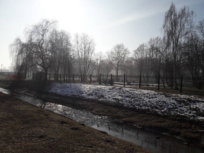 Zima w Parku Wrocławskim. Co słychać o mieszkańców minizoo? (FOTO)