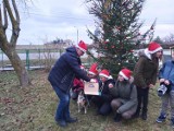 Choinka w sołectwie Mieroszyno. Przed Bożym Narodzeniem 2019 narodziła się nowa tradycja: wspólnie przystroili świąteczne drzewko | ZDJĘCIA