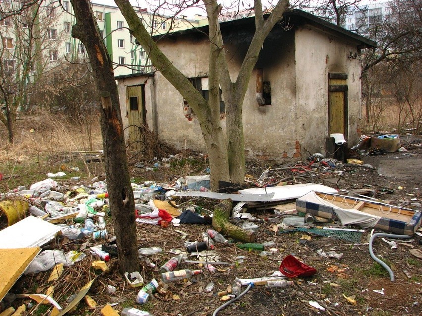 Wrocław: Śmieci szpecą Gaj, ale nie wiadomo kto ma tam posprzątać (ZDJĘCIA)