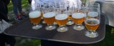 Piwo, piwo, piwo musi być!!! W gospodzie Mały Holender odbyła się premiera piwa "Szuwar"