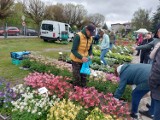 II Wiosenne Targi Ogrodnicze w Wieruszowie za nami 