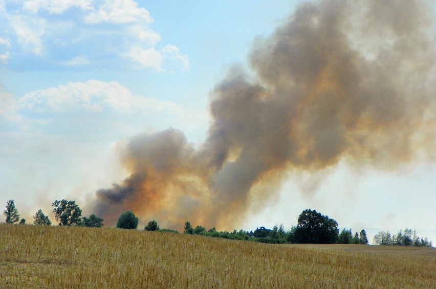 Pożar w Jaraczewie
