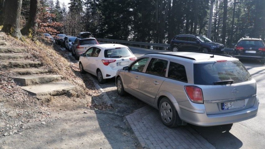 Turyści odwiedzający rezerwat Prządki w Czarnorzekach nagminnie łamią przepisy, parkując samochody przy drodze [ZDJĘCIA]