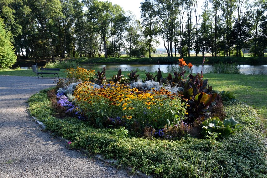 Szukasz pomysłu na weekendowe popołudnie tuż obok Jarosławia? Park w Zarzeczu, to świetne miejsce na spacer [ZDJĘCIA]