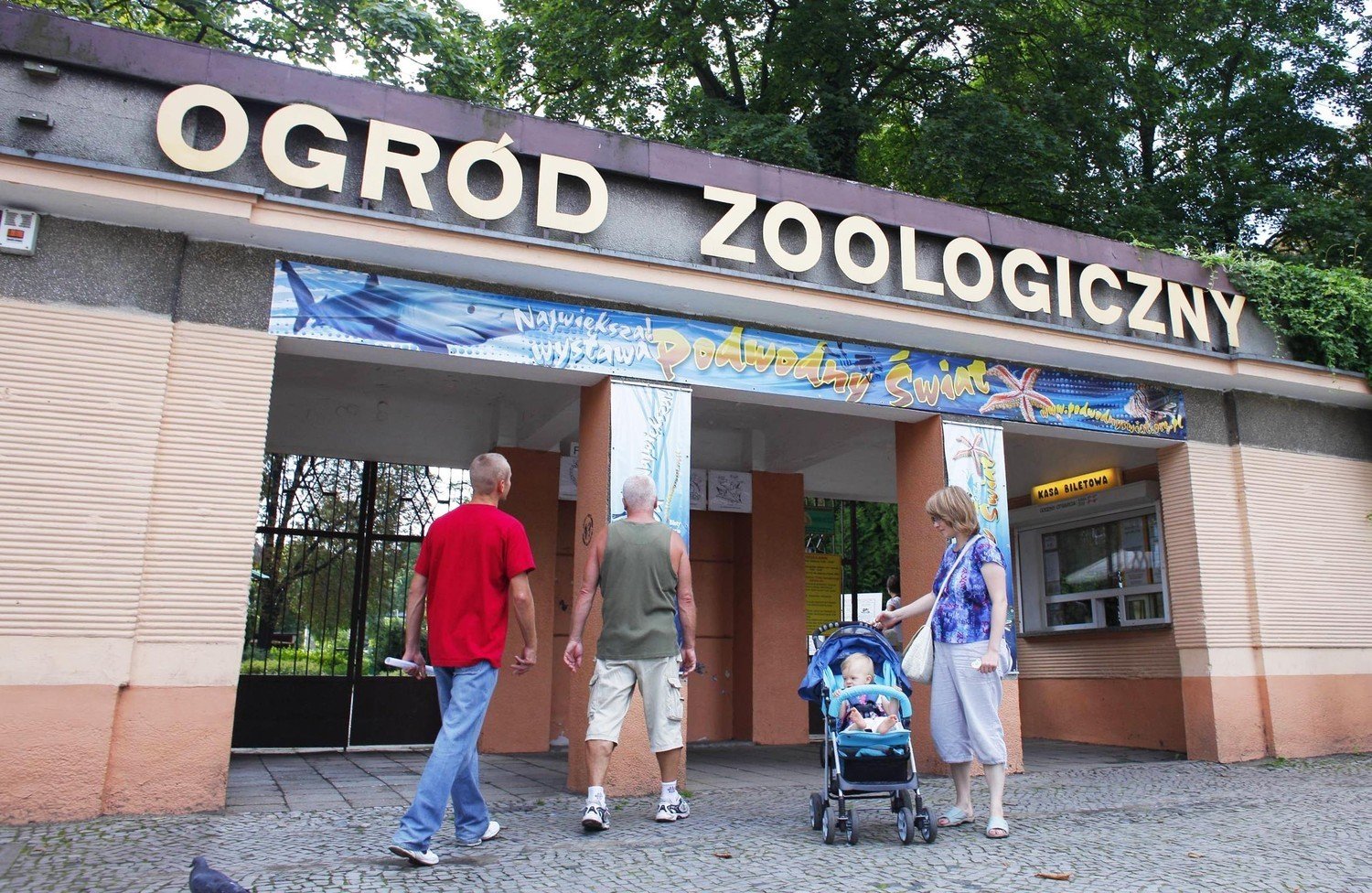 stare-zoo-w-poznaniu-od-stycznia-op-aty-za-wst-p-zdj-cia-pozna