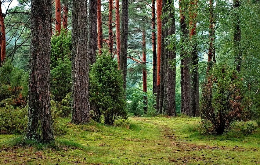 Polska na weekend. Atrakcje turystyczne, ciekawe miejsca. Najlepsze propozycje na weekend w Polsce