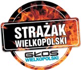 Strażak Wielkopolski 2014