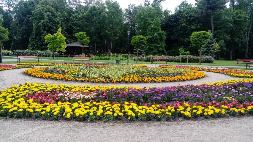 Park Miejski im. Aleksandra Majkowskiego to ulubione miejsce...