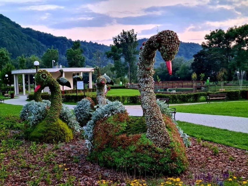 Kwiatowe rzeźby w Muszynie