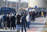 Długa kolejka na ulicy Radiowej w Kielcach. Mnóstwo chętnych po budki lęgowe dla jerzyków i sikorek [ZDJĘCIA]