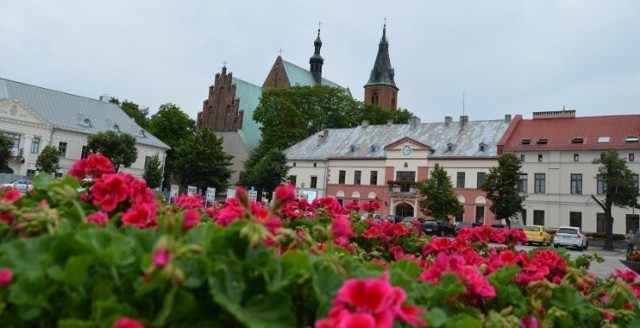 W kategorii Miejsce z klimatem –miejscowość lub gmina turystyczna można głosować na Olkusz. 

Łącznie do tej kategorii konkursu zakwalifikowało się 17 miejscowości z całej Małopolski.