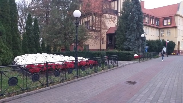 Delegacje stawią się 11.11. m.in. przy Grobie Nieznanego Żołnierza w Chełmnie. Na nim i w jego okolicy od kilku dni stoją donice z biało-czerwonymi chryzantemami