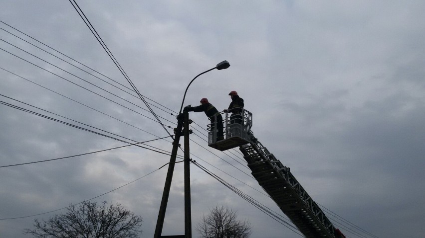 Lędziny: Strażacy uratowali kota uwięzionego na słupie [FOTO, WIDEO]