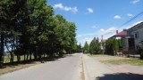 Co z drzewami przy ulicy Długiej w Głogowie Małopolskim? Mieszkańcy sprzeciwiają się "betonozie".
