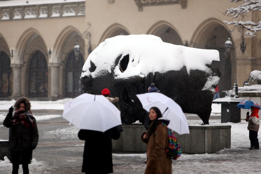 Zima w Krakowie 2015. Krakowianie cieszą się śniegiem