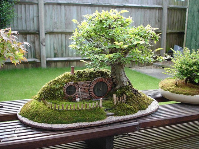 Drzewka bonsai, czyli świat w miniaturze. Niektóre mają nawet 800 lat! [ZDJĘCIA]