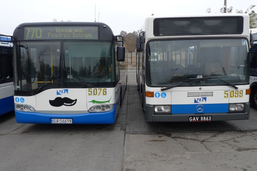 Akcja Dzień Dobry Gdynia. Plakaty Loseje w gdyńskich autobusach [ZDJĘCIA]