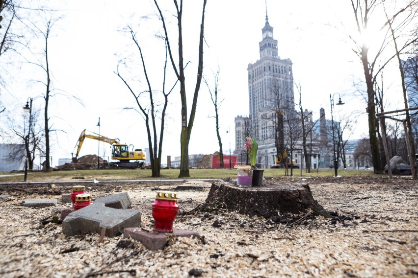 Wycięli drzewa w Parku Świętokrzyskim. "To łamanie...