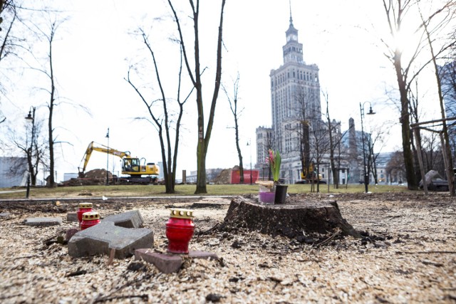 Wycięli drzewa w Parku Świętokrzyskim. "To łamanie podstawowych praw"! [ZDJĘCIA, WIDEO]