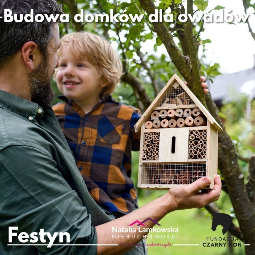 Charytatywny festyn w ogródku Bodegi przy  al. 23...